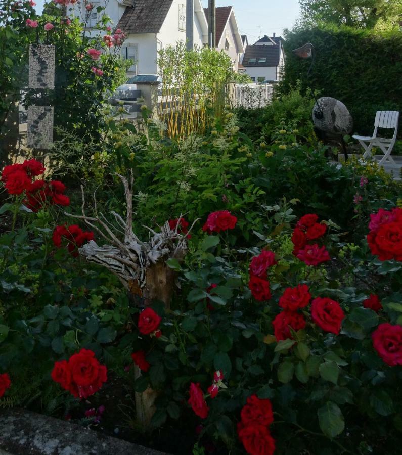 Gite Du Heron La Wantzenau Luaran gambar